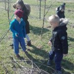 Brinemo o okolišu - rezanje voćaka