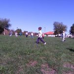 Igra na livadi