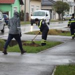 Općina Peteranec priključila se akciji “Zasadi stablo, ne budi panj!”