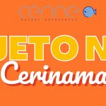Ljeto na Cerinama