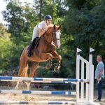 Ergela Galop domaćin turnira u preponskom jahanju